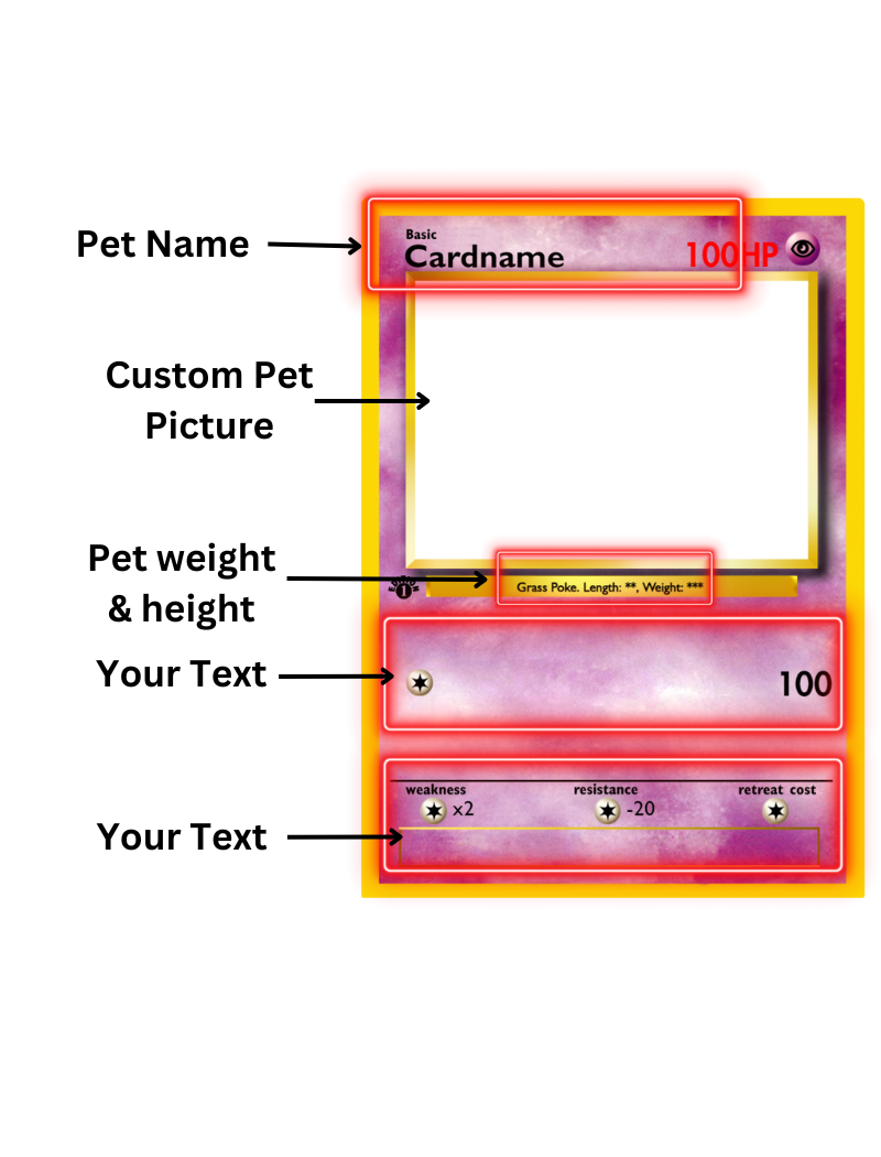 Poke Monster Pets Custom Portrait