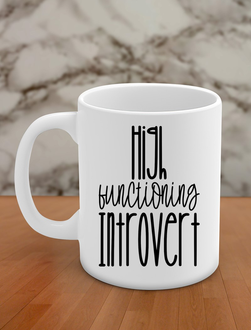 High functioning introvert