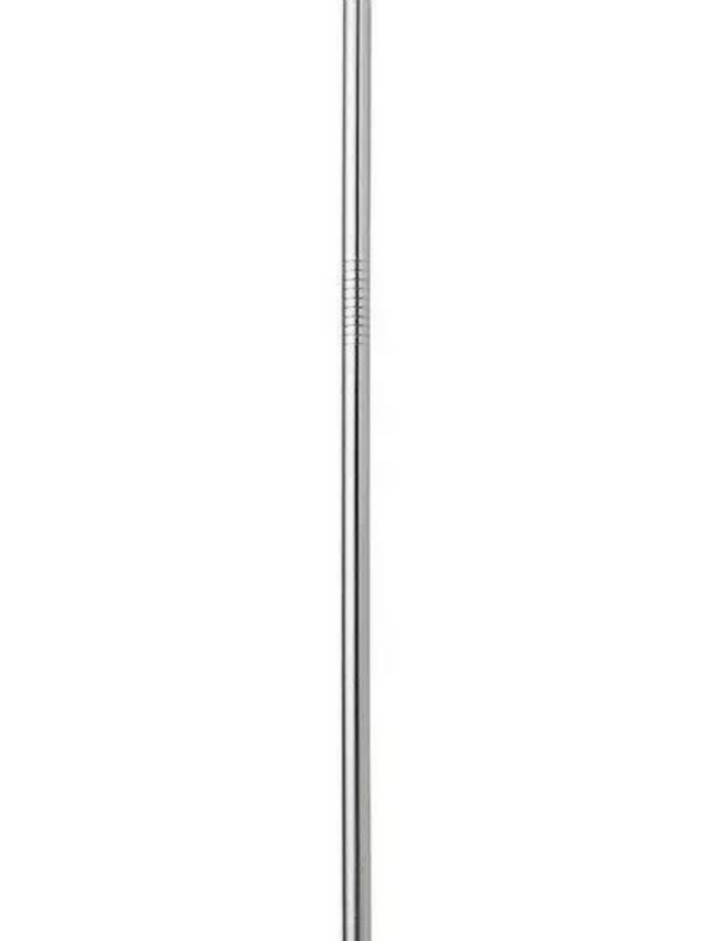 Stainless Steel Reusable Straw Hover Image